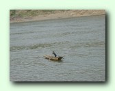 [Klik om een grote afbeelding te zien]